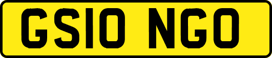 GS10NGO