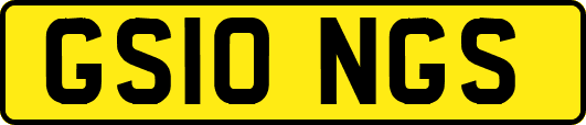 GS10NGS