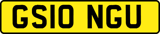 GS10NGU