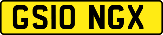 GS10NGX