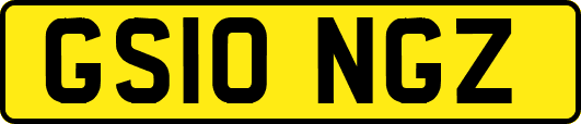 GS10NGZ