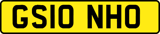 GS10NHO