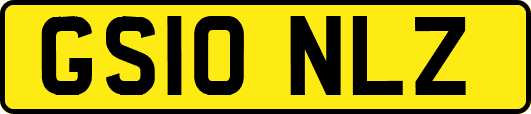 GS10NLZ