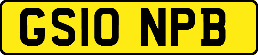 GS10NPB