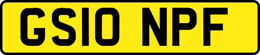 GS10NPF