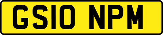GS10NPM