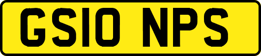 GS10NPS