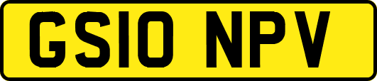 GS10NPV