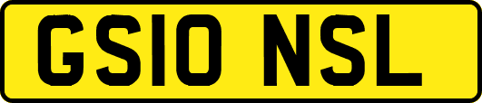 GS10NSL