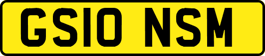 GS10NSM