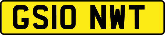 GS10NWT