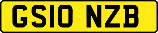 GS10NZB