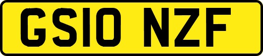 GS10NZF