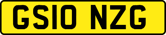 GS10NZG