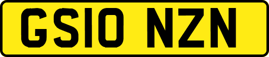 GS10NZN