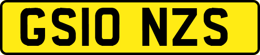 GS10NZS