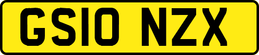 GS10NZX