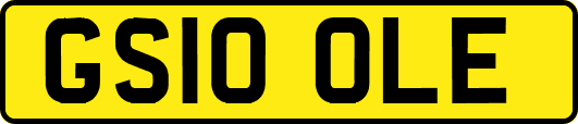 GS10OLE