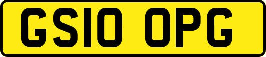 GS10OPG