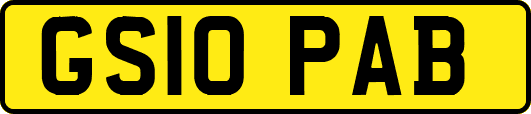 GS10PAB