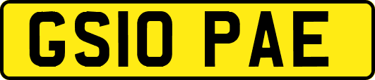 GS10PAE