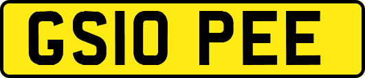 GS10PEE