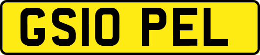 GS10PEL