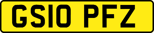 GS10PFZ