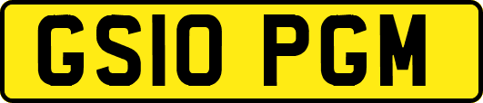 GS10PGM