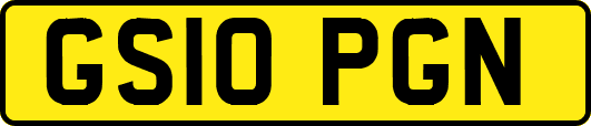 GS10PGN