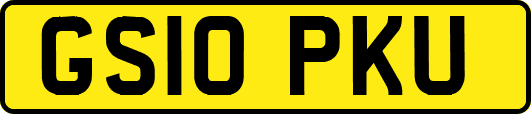 GS10PKU
