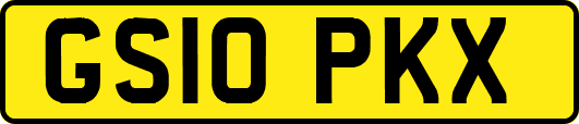 GS10PKX