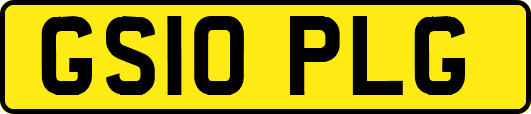 GS10PLG