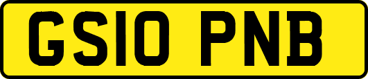 GS10PNB
