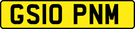 GS10PNM