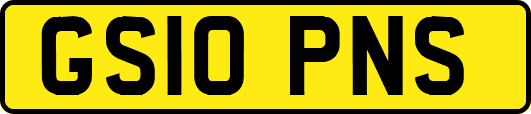 GS10PNS