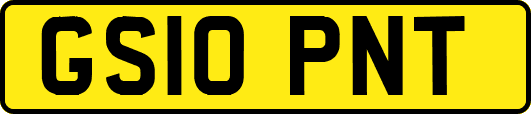 GS10PNT