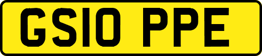 GS10PPE
