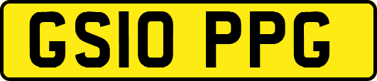 GS10PPG