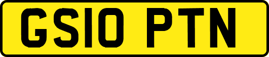 GS10PTN