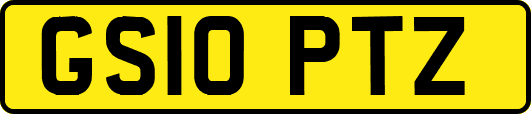 GS10PTZ