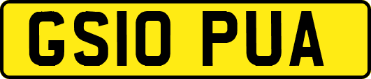 GS10PUA