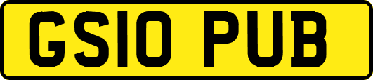 GS10PUB