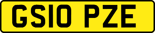 GS10PZE