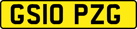 GS10PZG