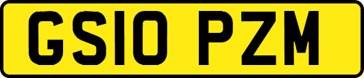 GS10PZM