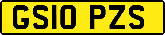 GS10PZS