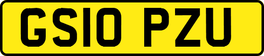 GS10PZU