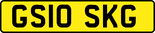 GS10SKG