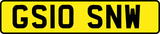 GS10SNW